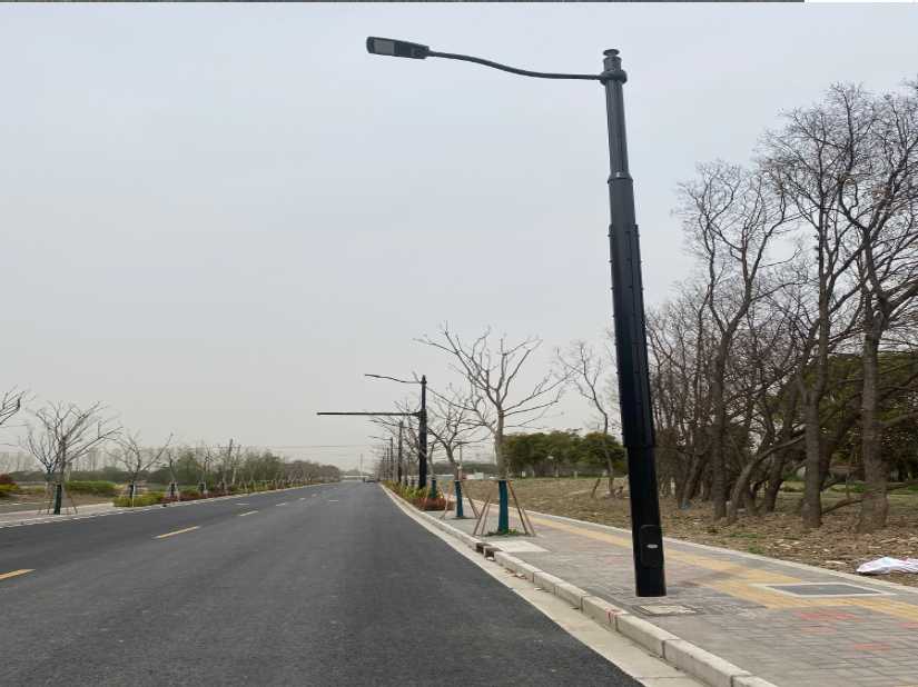兴平市上海综合杆 太阳能路灯工程